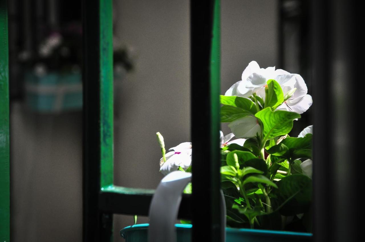 Pied-A-Terre Domusuite Rhome Colosseo 로마 객실 사진