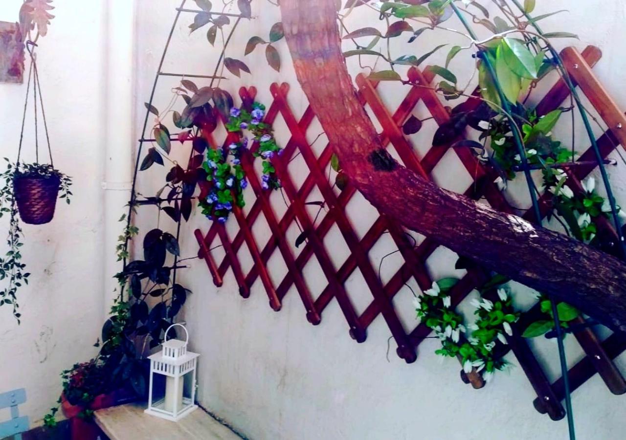 Pied-A-Terre Domusuite Rhome Colosseo 로마 외부 사진